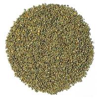 Manufacturers Exporters and Wholesale Suppliers of Millet Seeds Hanumangarh Jn. Rajasthan